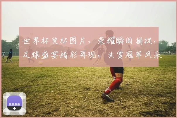 世界杯奖杯图片，荣耀瞬间捕捉，足球盛宴精彩再现，共赏冠军风采