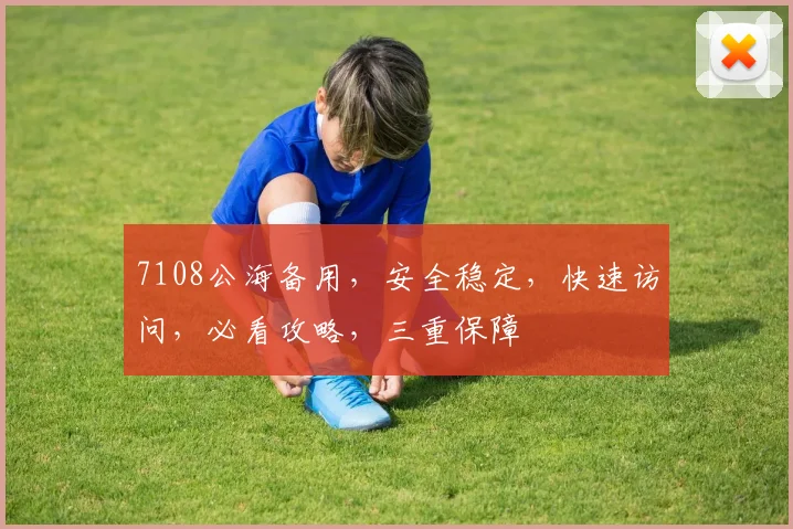 7108公海备用，安全稳定，快速访问，必看攻略，三重保障