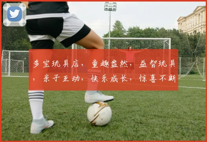 多宝玩具店，童趣盎然，益智玩具，亲子互动，快乐成长，惊喜不断