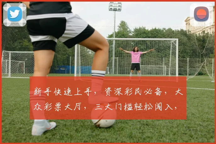 新手快速上手，资深彩民必备，大众彩票大厅，三大门槛轻松闯入，畅享购彩之旅