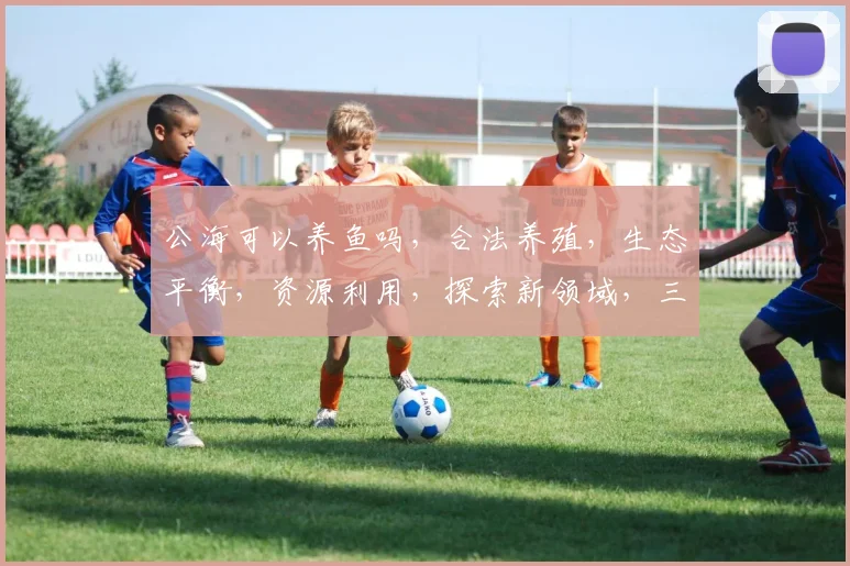 公海可以养鱼吗，合法养殖，生态平衡，资源利用，探索新领域，三大关注点，不容忽视